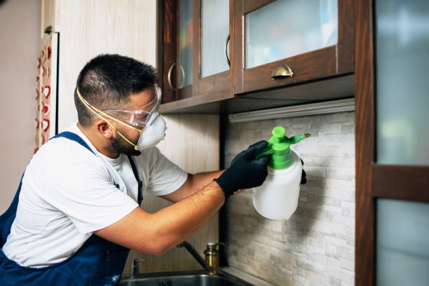 Best Best Pest Control Companies  in Hamilton, AL