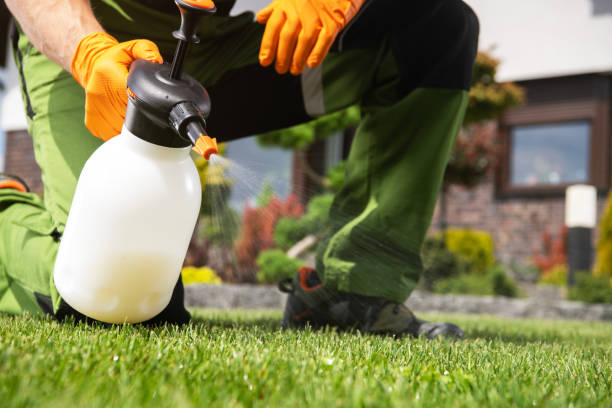 Wasp Removal Services in Hamilton, AL
