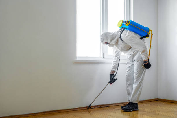 Best Wildlife Control Services  in Hamilton, AL