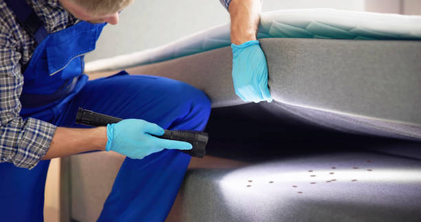 Best Affordable Pest Control Services  in Hamilton, AL