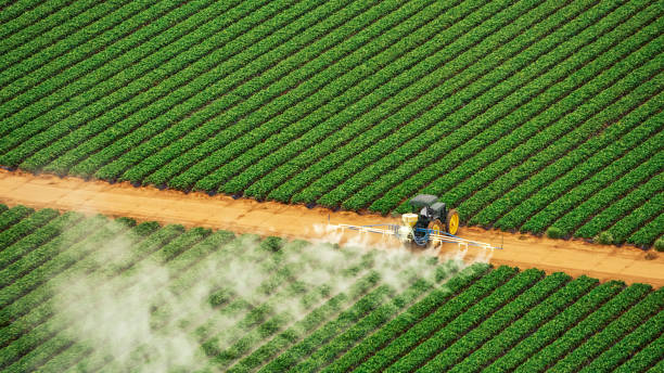 Best Ant Control Services  in Hamilton, AL