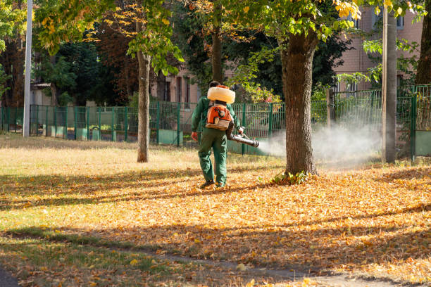 Best Affordable Pest Control Services  in Hamilton, AL