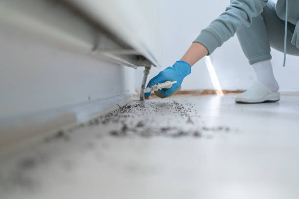 Best Pest Control Near Me  in Hamilton, AL