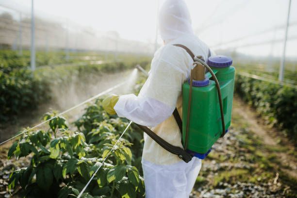 Best Wasp Removal Services  in Hamilton, AL